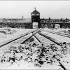 Auschwitz